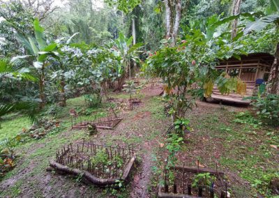 volunteers-in-costa-rica-organic-farming