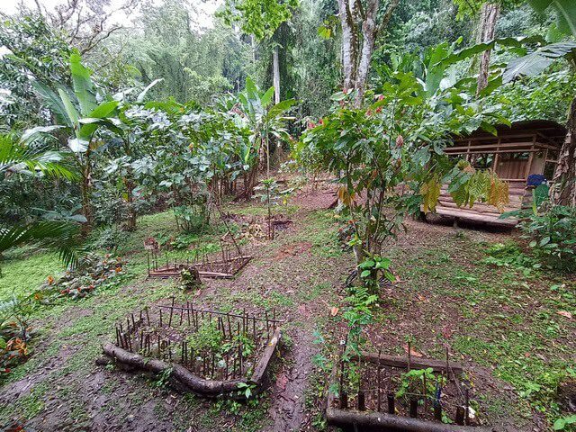Freiwillige im ökologischen Landbau von Costa Rica