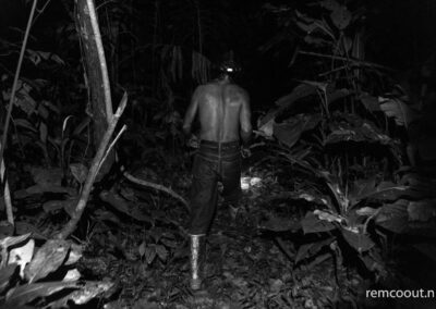 jungle-of-costa-rica-rainforest-night-tour-limon-cahuita-puerto-viejo-bananito-group-hike-walk