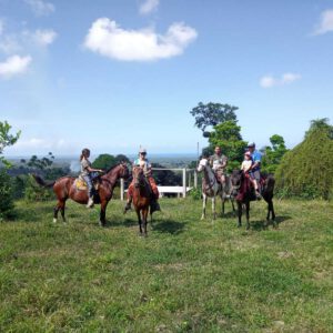 caribbean-horseback-riding-in-costa-rica