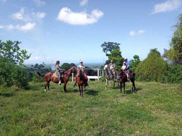 caribbean horseback riding in costa rica
