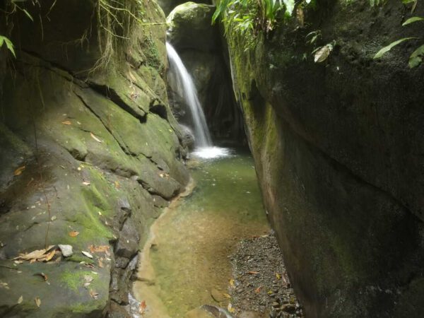rainforest-costa-rica-tours-limon-jungle-hike-waterfall