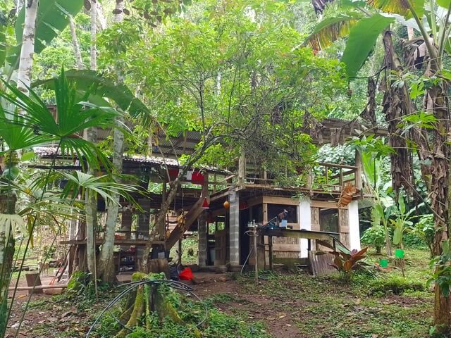 costa-rica-rainforest-lodges-limon-cahuita-bananito-finca-van-maare-groepsaccommodatie