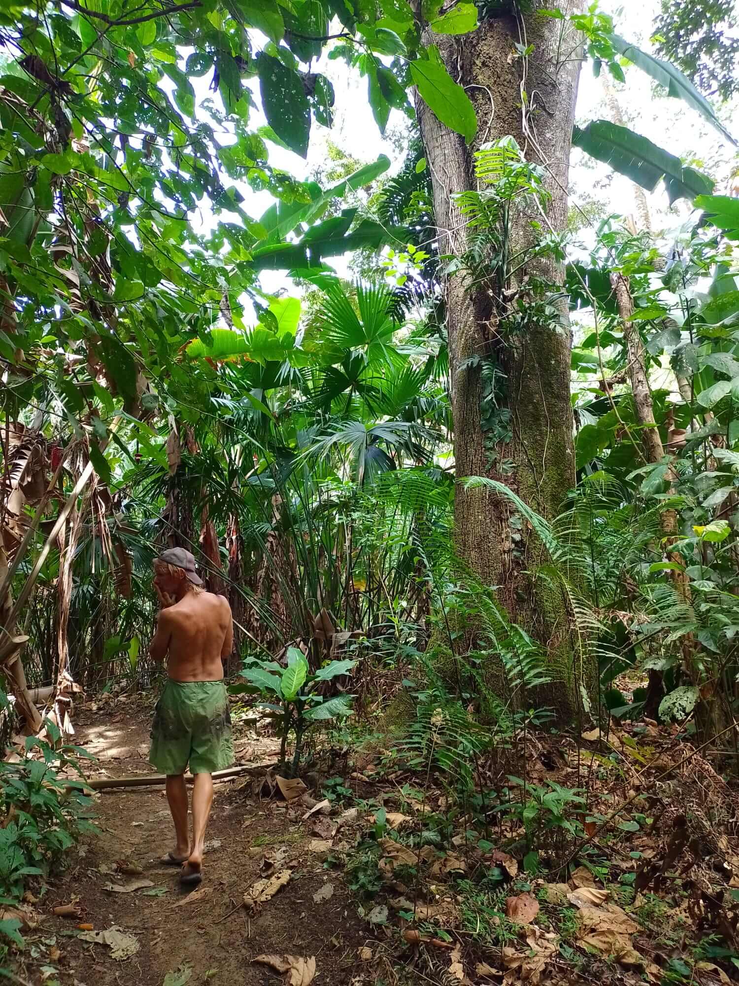 costa-rica-rainforest-lodges-limon-cahuita-bananito-finca-van-maare-group-accommodation