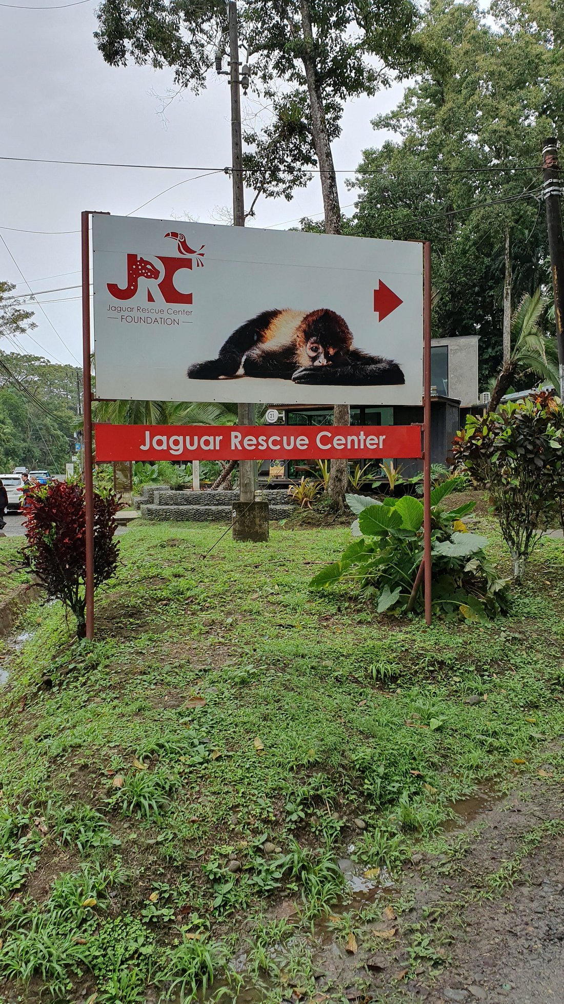 stiftung-jaguar-rettungszentrum-eingang